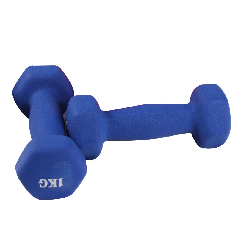 Vinyl Dumbbell Fitness Exercise Ladies Dumbbell